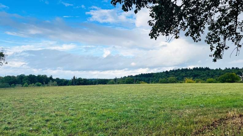 22-09-10 17-59-08 1976.jpeg